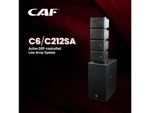 Bộ loa CAF Audio C6 gồm 8 chiếc loa array model C6 và 2 chiếc loa siêu trầm model C212SA